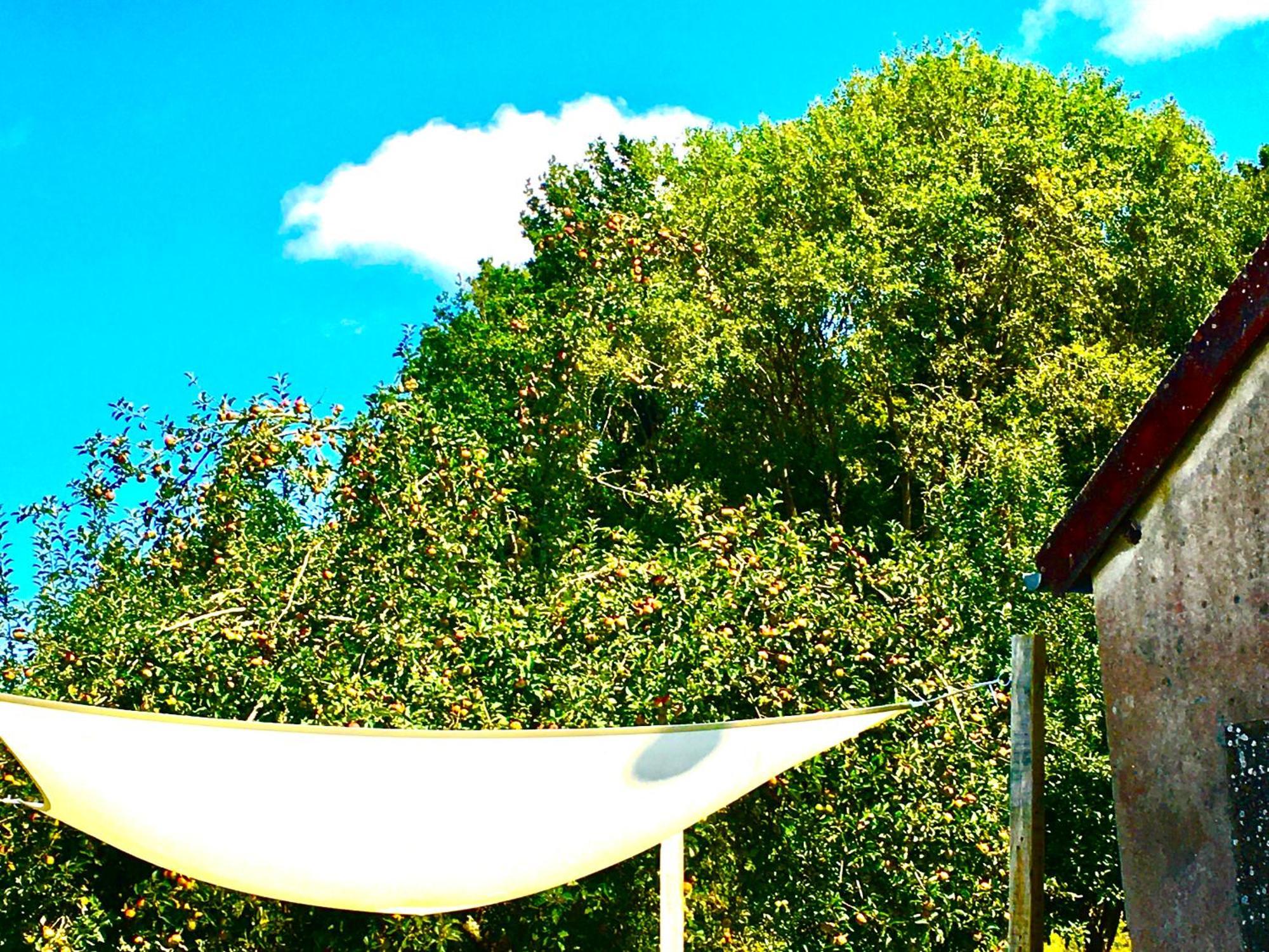 Bed and Breakfast La Mirabelle Saint-Pierre-de-Fursac Экстерьер фото